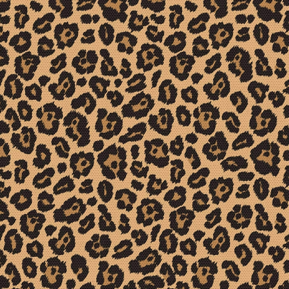 J.Crew Leopard Print A-Line Shift Dress